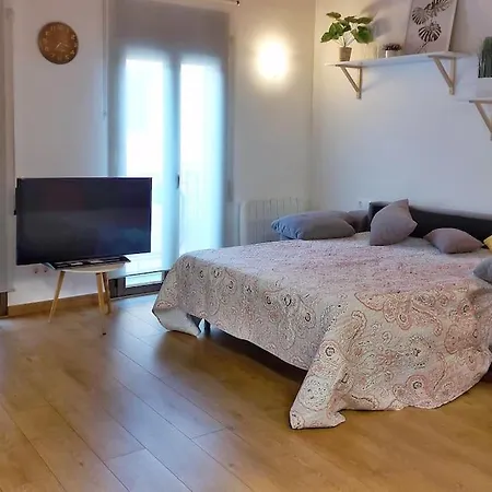 Precioso Apartamento Duplex En El Centro De * Olot
