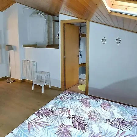 Precioso Apartamento Duplex En El Centro De * Olot